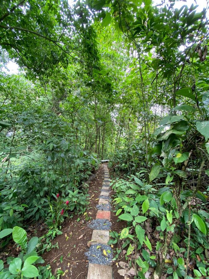 Gambas Lodge La Fortuna Exterior photo