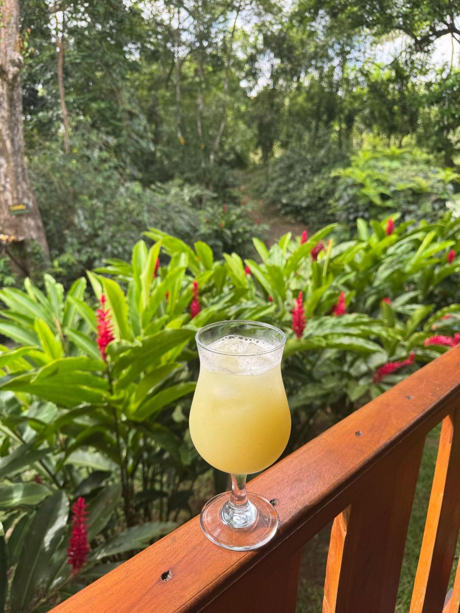 Gambas Lodge La Fortuna Exterior photo